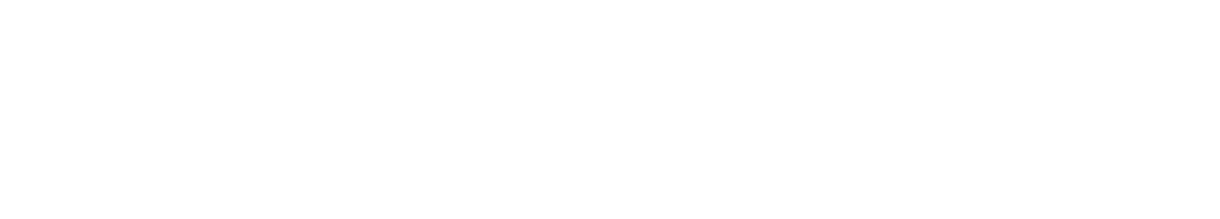 Optidata